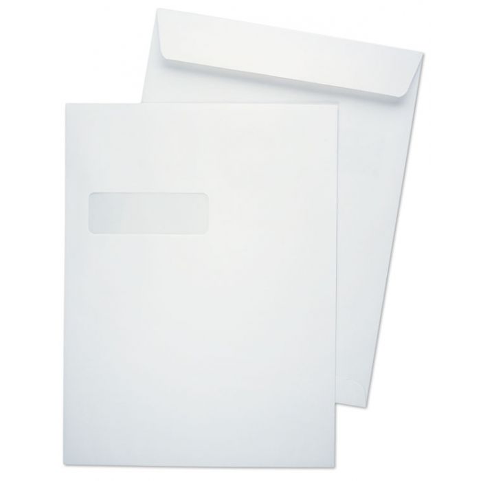 9 x 12 Catalog 28lb White Wove Horizontal Window 1 Envelope | Envelope Cafe